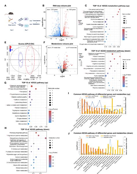 Figure 1 From Integrated Transcriptomic And Metabolomic Analysis