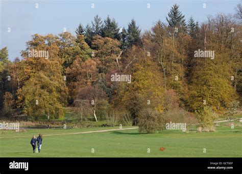 Autumn colours on display at Castle Howard Arboretum, North Yorkshire Stock Photo - Alamy