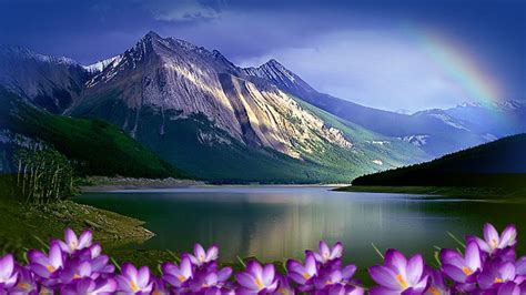 Lake Flowers Wallpapers - Wallpaper Cave