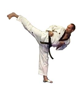 Taekwondo Kicks Names In English