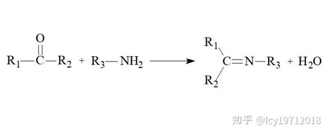 氨基酸的化学反应 知乎