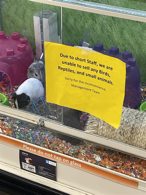 My local petsmart had this sign up today… : r/petsmart