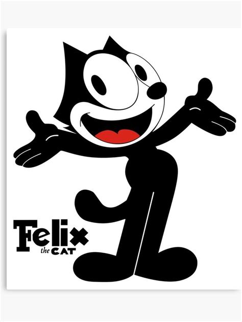 Pin By Mitzvah Sisters Dana On Felix Mitzvah Inspo Felix The Cats