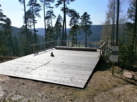 Der Schwarzwald Und Seine Natur Wanderung Im Verlauf Des Premium