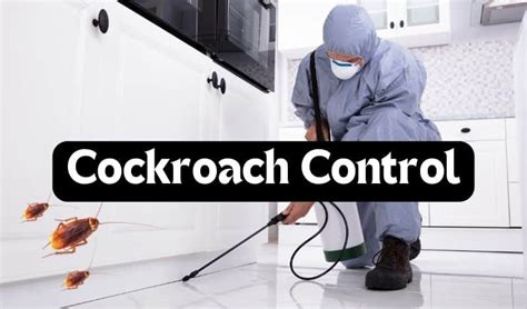 Best Pest Control In Gurgaon Pest Control Charges In Gurgaon