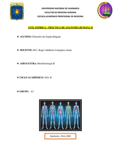 Solution Gu A Te Rico Pr Ctica De Anatom A Del Aparato Genital Studypool