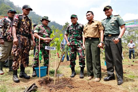 Kurangi Lahan Kritis Pemkab Bandung Dan Tni Lakukan Penghijauan