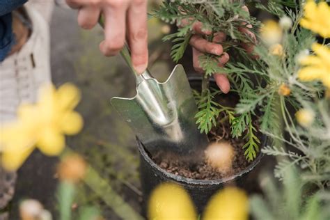 Free Photo Close Up Of A Womans Hand Using Hand Shovel While