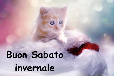 Buon Sabato Invernale Immagini Buongiorno Per Sabati In Inverno