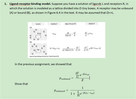 Solved 1ligand Receptor Binding Model Suppose You Have A