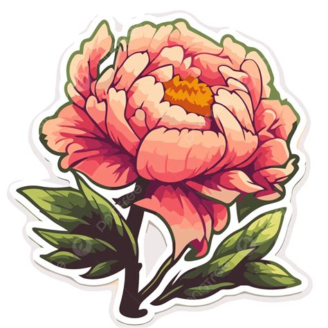 Peony Flower Sticker Has A Pink Flower With Green Leaves Clipart Vector