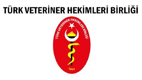 Türk Veteriner Hekimleri Birliği nden sert tepki Ötenazi yapmayacağız