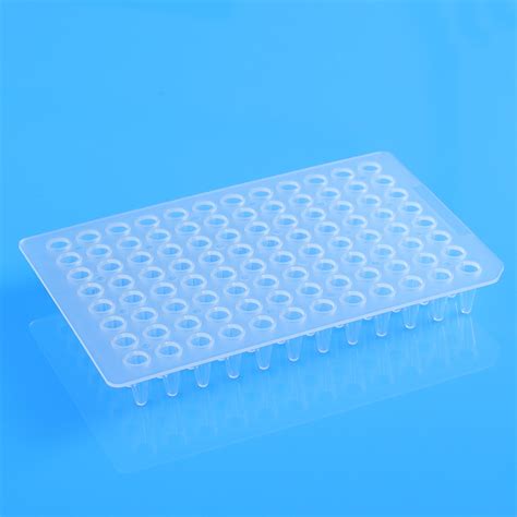 Laboratory Plastiware Polypropylene Square Hole Ml Well Transparent