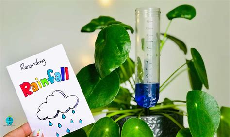 Make a Rain Gauge – STEAM Activity for Kids | Little STEAM Learners