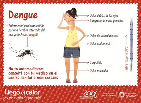 Dengue Zika Y Chikungunya Ministerio De Salud P Blica De Tucum N