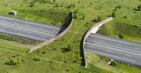 Passage à faune les animaux circulent VINCI Autoroutes