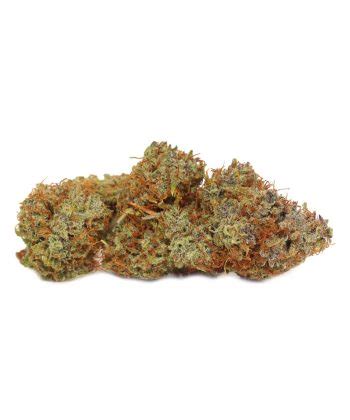 Buy Tangerine Kush Weed Bulk Buddy Online Dispensary Canada