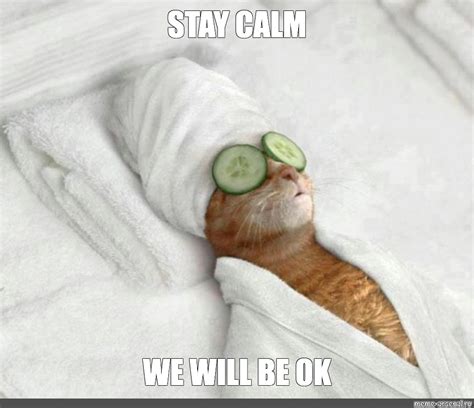 Meme Stay Calm We Will Be Ok All Templates Meme