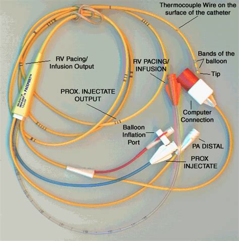 Photo Of Swan Ganz Catheter