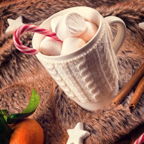 Hot Chocolate With Marshmallows Stock Image Image Of Froth Chocolate