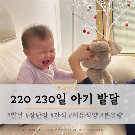 220일 230일 8개월 아기 발달 장난감 간식 이유식양 분유량 네이버 블로그