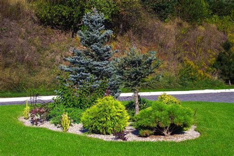 Best Tree And Shrub Planting Services