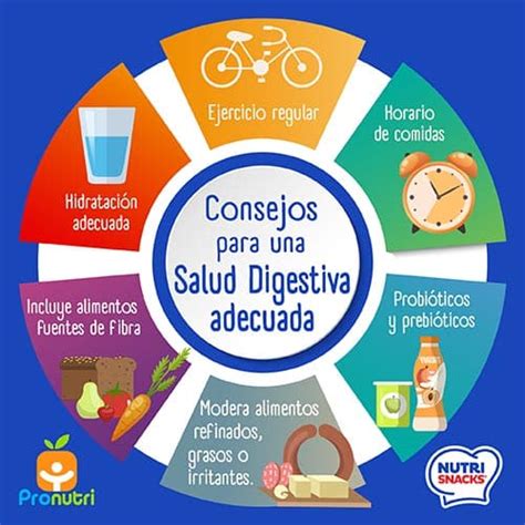 Salud Digestiva Y Microbiota Intestinal Nutrisnacks