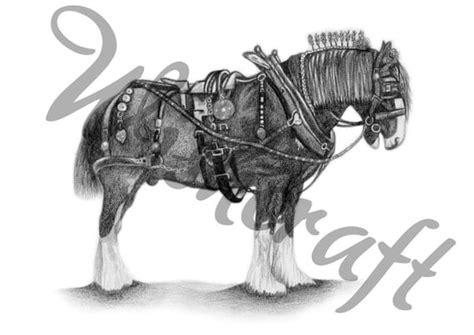 Items similar to Romany/Gypsy Shire horse drawing - original pencil drawing - Art print - Horse ...