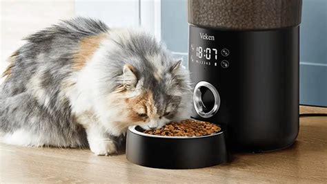 7 Best Automatic Cat Feeders In 2023 World Cat Finder