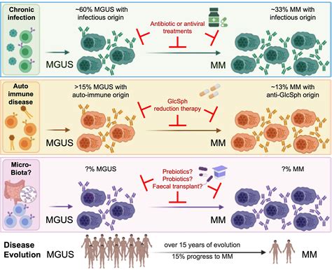 Frontiers Editorial The Role Of Microorganisms In Multiple Myeloma