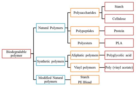 Schematic Representation Of Biodegradable Polymers Based On Their Download Scientific Diagram