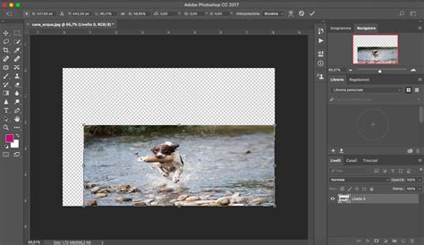 Trasformazione Libera Photoshop Essenziali Grafica Html It