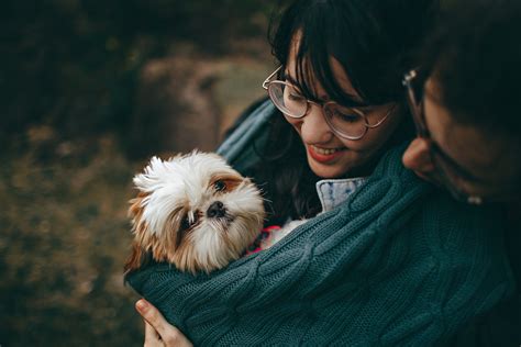 Pets Are Inn: Keeping your pets happy while you’re away – Aspioneer