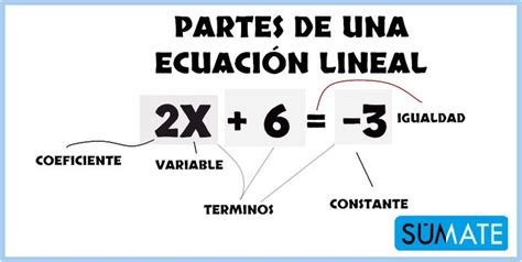 Partes B Sicas De Una Ecuaci N Lineal Matematicas Primero De