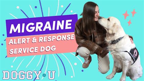 Migraine Alert And Response Service Dog And Tips For First Time Owner