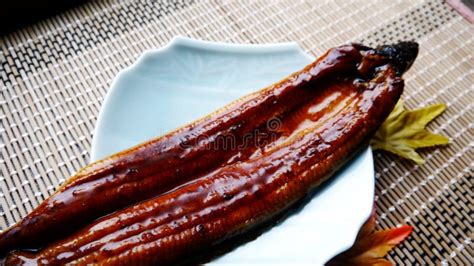 Delicious cooked eel fish stock photo. Image of sauce - 77631850