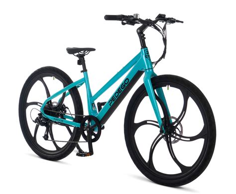 The Best Cheap Electric Bikes Of 2023 Affordable E Bike Reviews