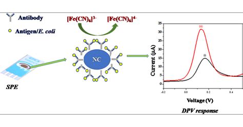 How To Detect E Coli Riseband