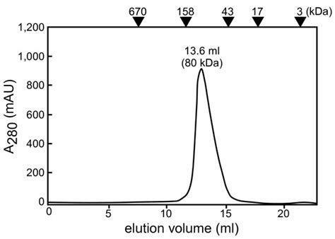 Gel Filtration Chromatography Elution Profile The Positions Of The Download Scientific Diagram