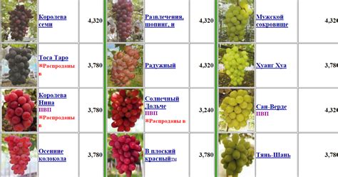 Описание вкуса винограда