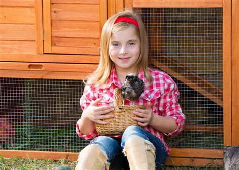 Portable Chicken Coop Kids Chicken Coops