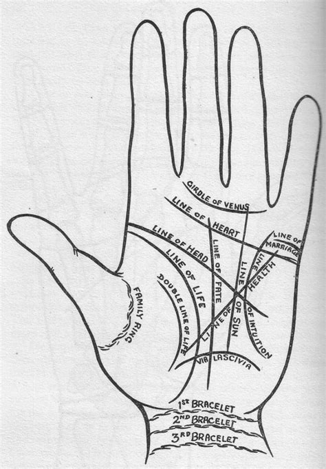 Serenas Guide To Palmistry Hand Reading Hand Analysis