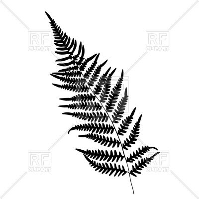 Fern Leaf Silhouette at GetDrawings | Free download