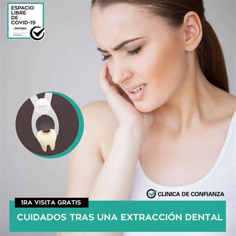 Cuidados Tras Una ExtracciÓn Dental Soy Dentaria