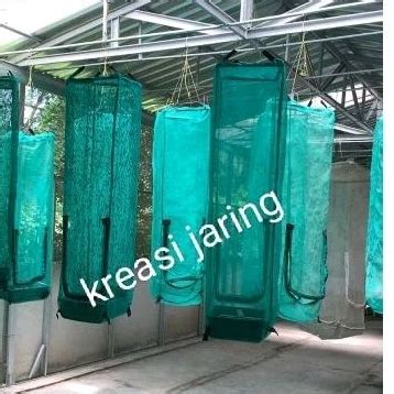 Jual Kandang Maggot Kandang Lalat Bsf X X M Siap Pakai Shopee