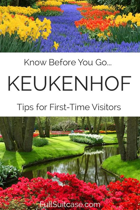 11 Tips & Tricks for Visiting Keukenhof Gardens in 2025