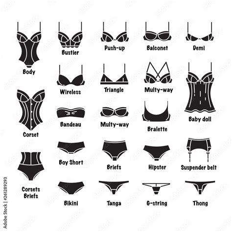 Female Underwear Big Vector Set Different Types Of Underwear Black