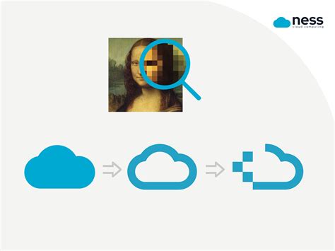 ness brand design   soy  dribbble