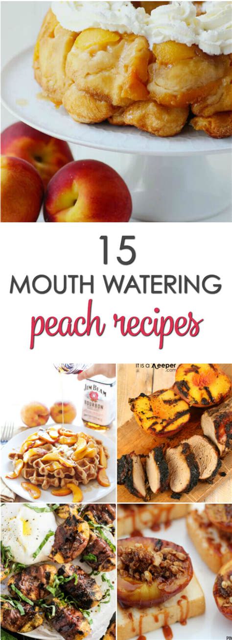 15 Fresh Peaches Recipes | It Is a Keeper