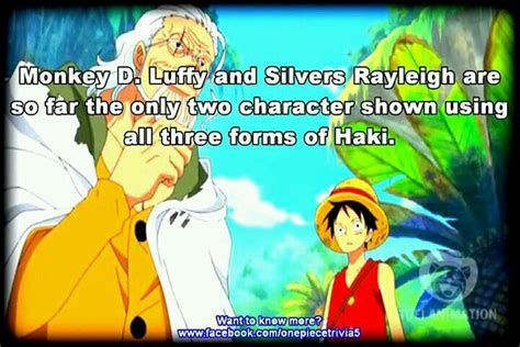 One Piece Facts Wiki Anime Amino